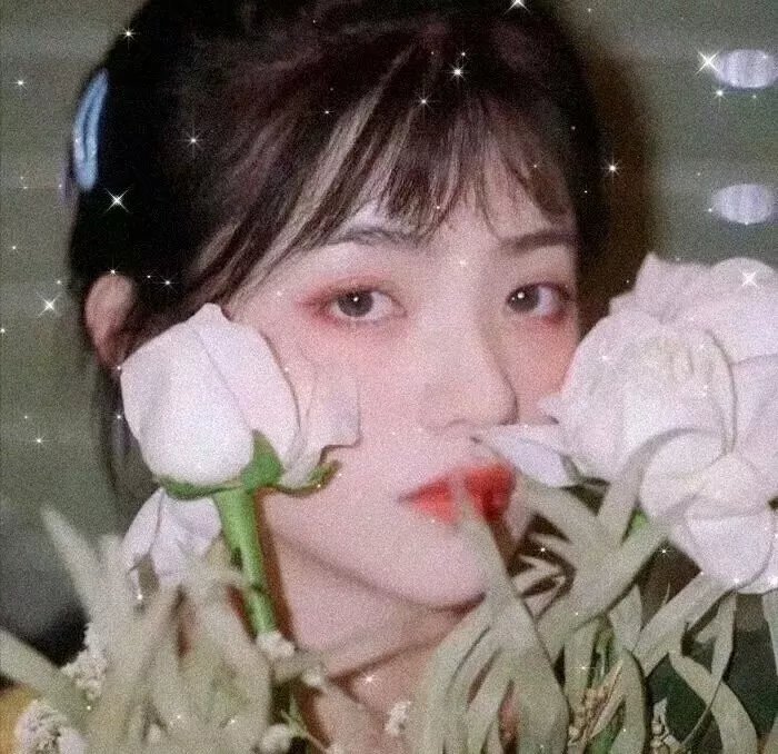 脂粉英雄